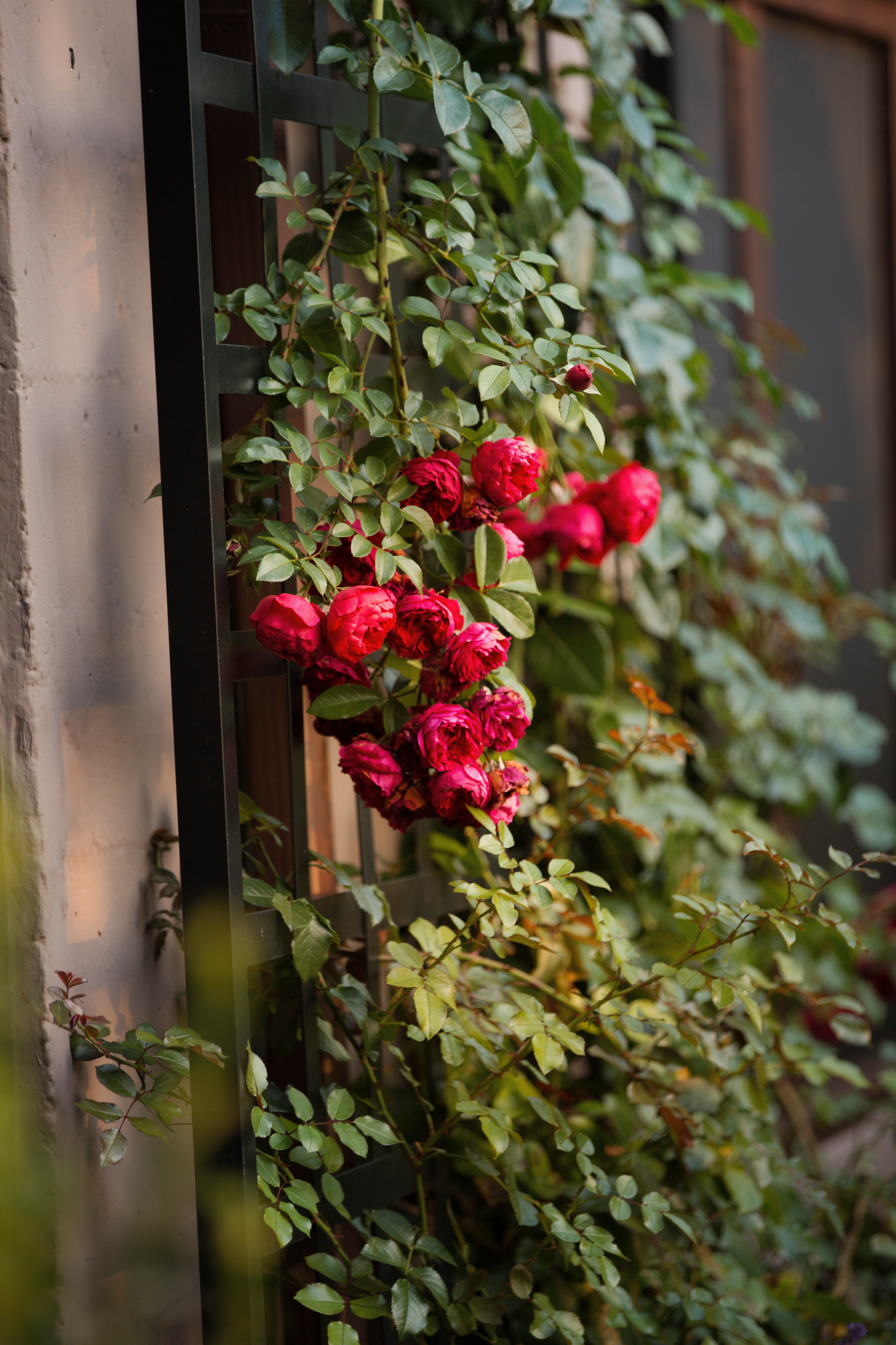 Remember wallpaper? It's back and it's cooler than ever - cleveland.com, image size:1706x2560