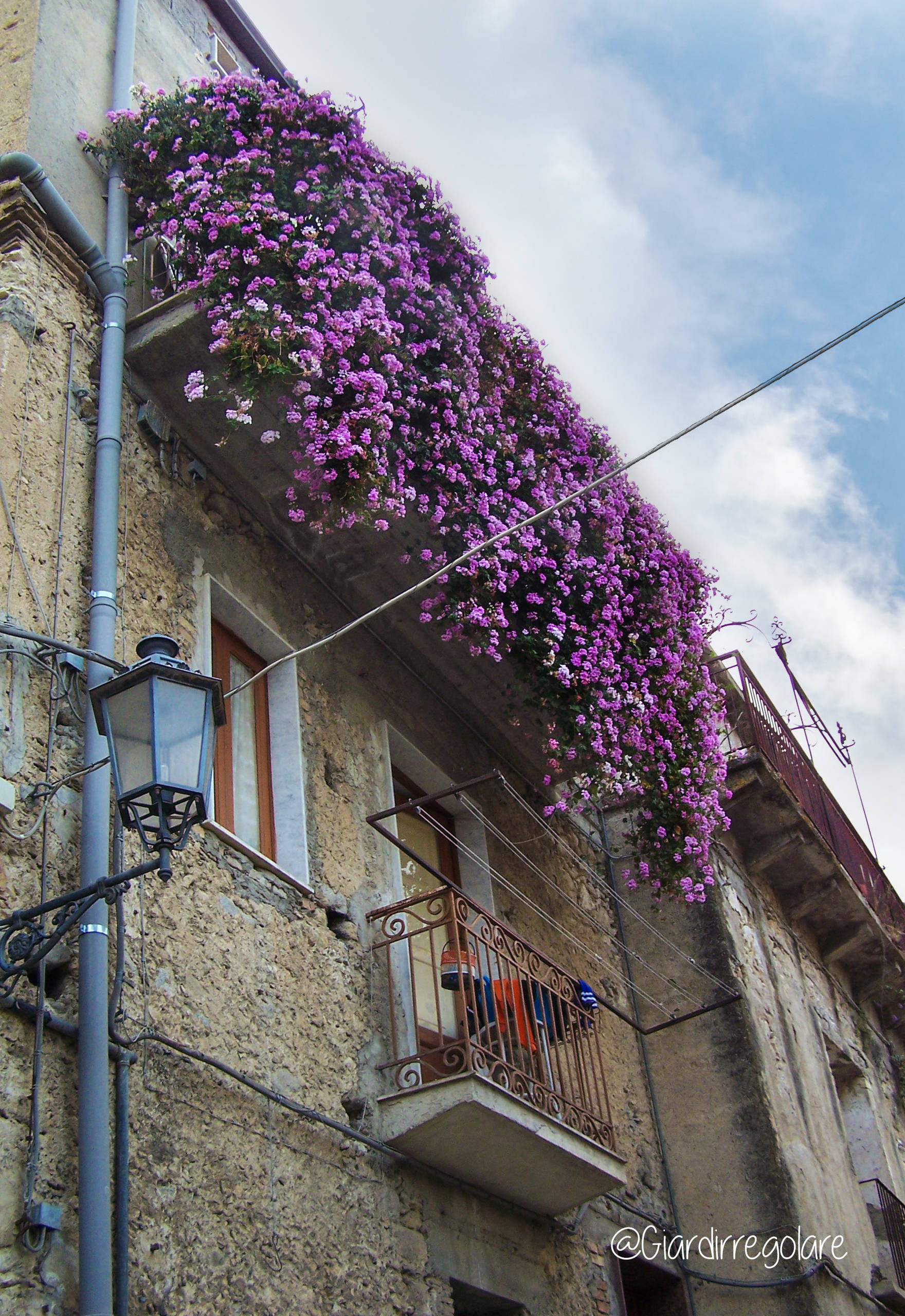 Cabilock 6 Vasi Da Fiori In Metallo Da Appendere, Colore Viola, Per Casa, Giardino E Balcone