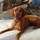paula_waite79