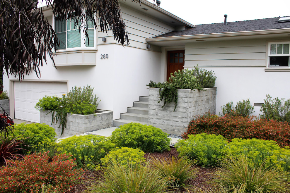 Contemporary Drought-Tolerant in Aptos