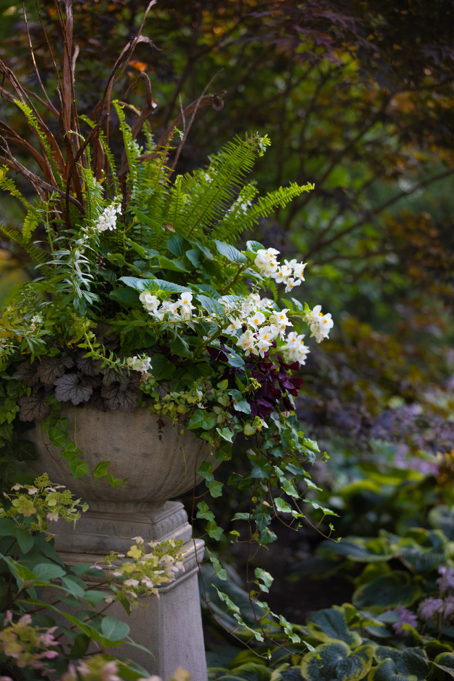 Cette image montre un jardin en pots arrière traditionnel de taille moyenne et l'été avec une exposition partiellement ombragée et des pavés en pierre naturelle.