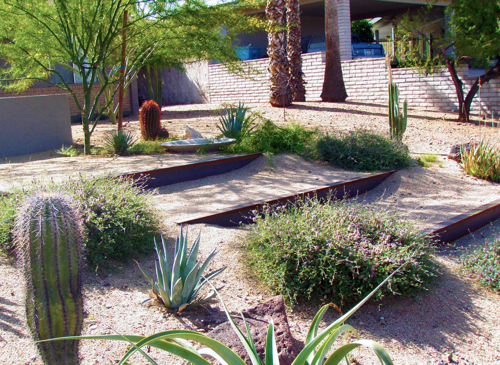 Modern garden in Phoenix.