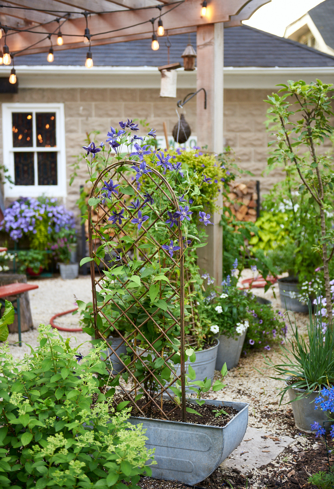 Rustic Backyard Pergola - Cedarburg, WI