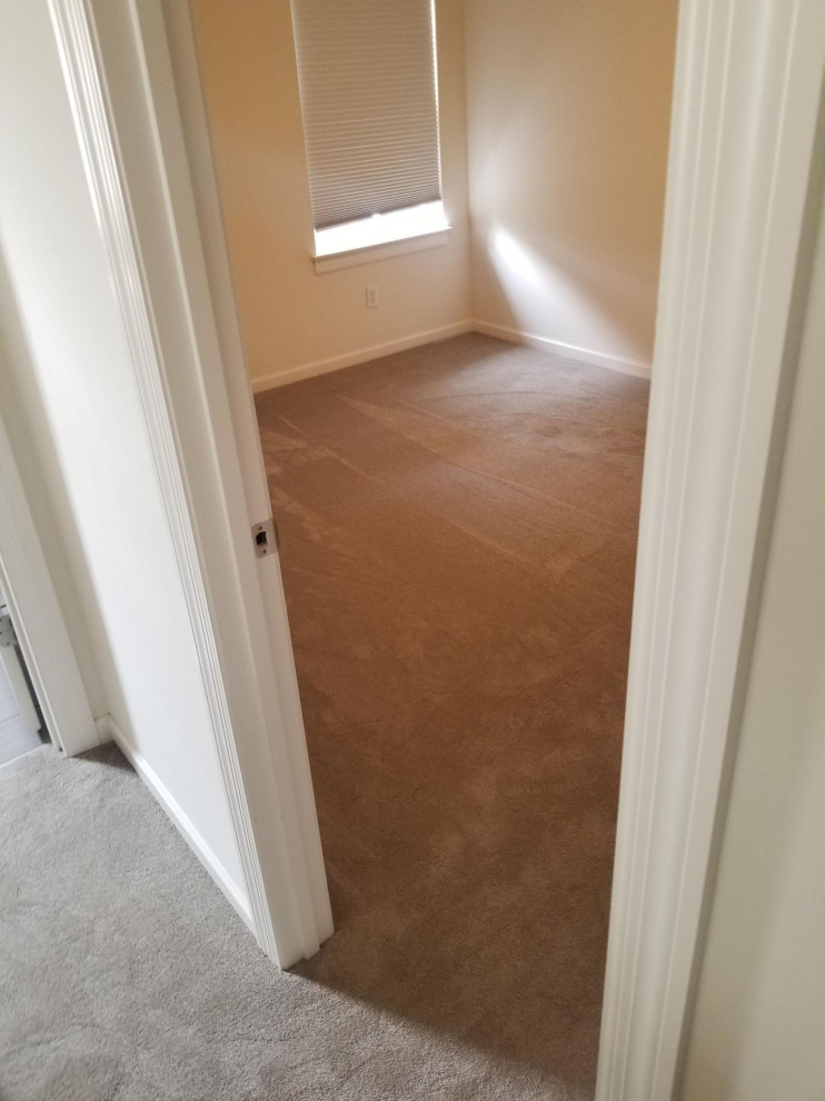 Example of a carpeted and gray floor bedroom design in St Louis