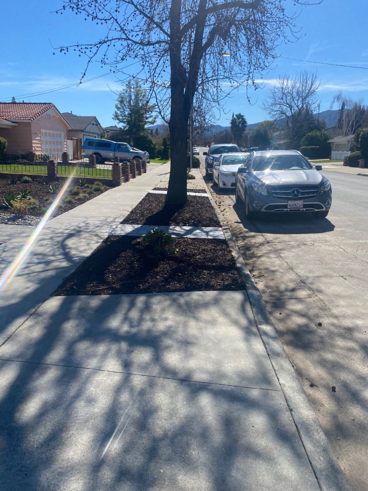 Front Yard & Driveway Installation