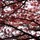 jessica_ritter2631