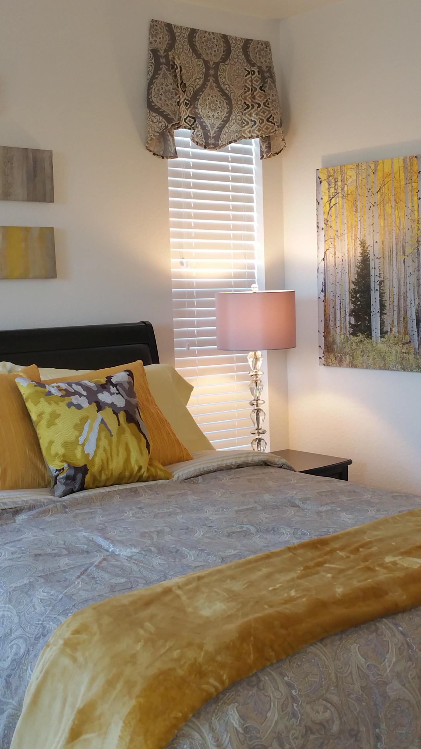 Colorado Condo