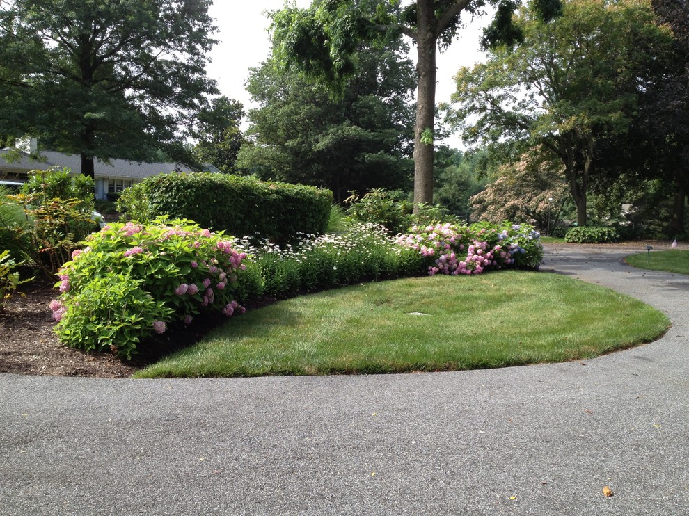 This is an example of a transitional landscaping in Baltimore.
