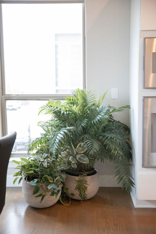 Townhome Interior Design