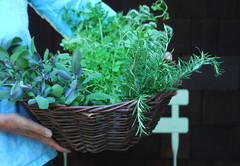 Thrifty Gardening: How to Grow and Store Summer Herbs