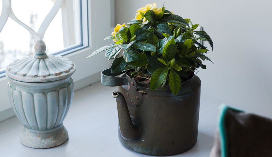 "Спальня с клубком и чайниками" телепроект для "Квартирного вопроса" НТВ 2013 г.