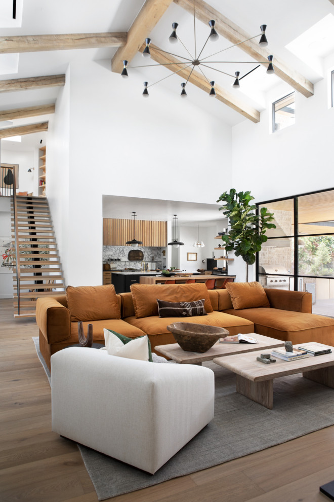 Hill Country Modern Meets Southlake, Texas - Contemporary - Living Room ...