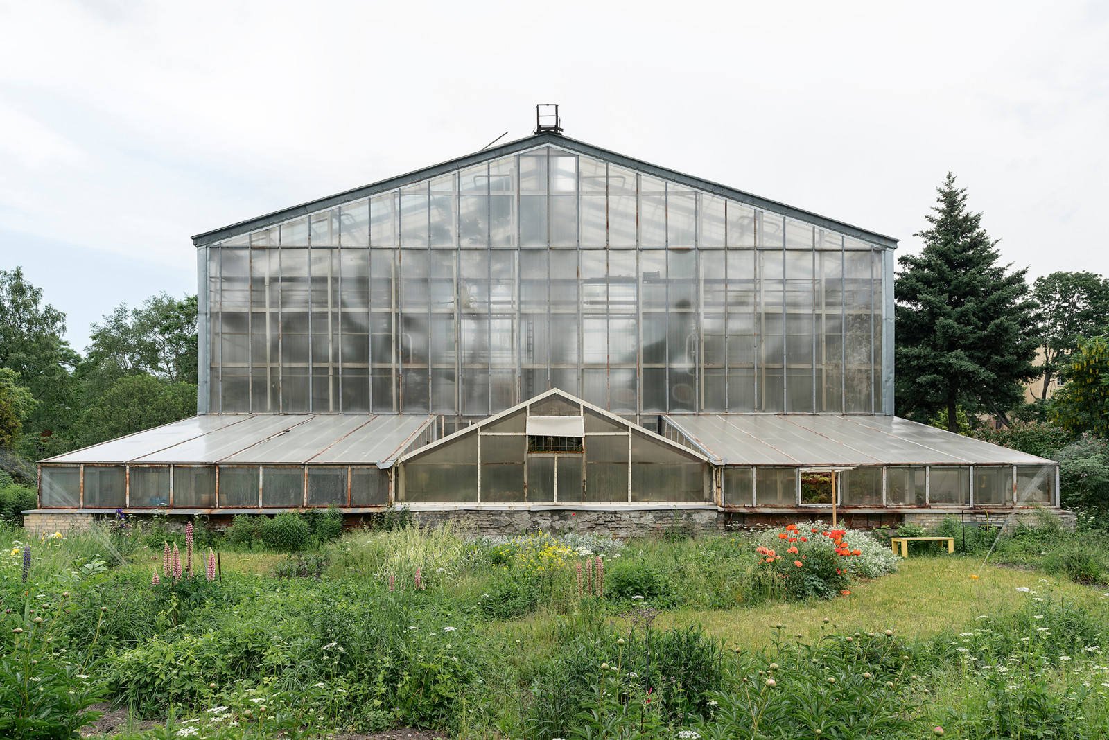 Ботанический сад в сердце Петербурга