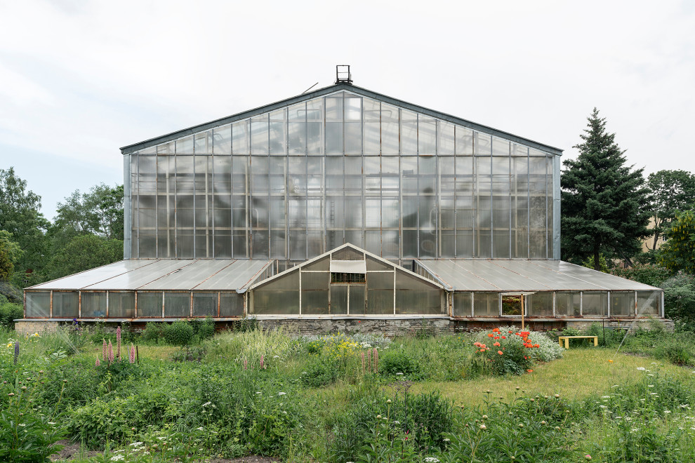 Ботанический сад в сердце Петербурга
