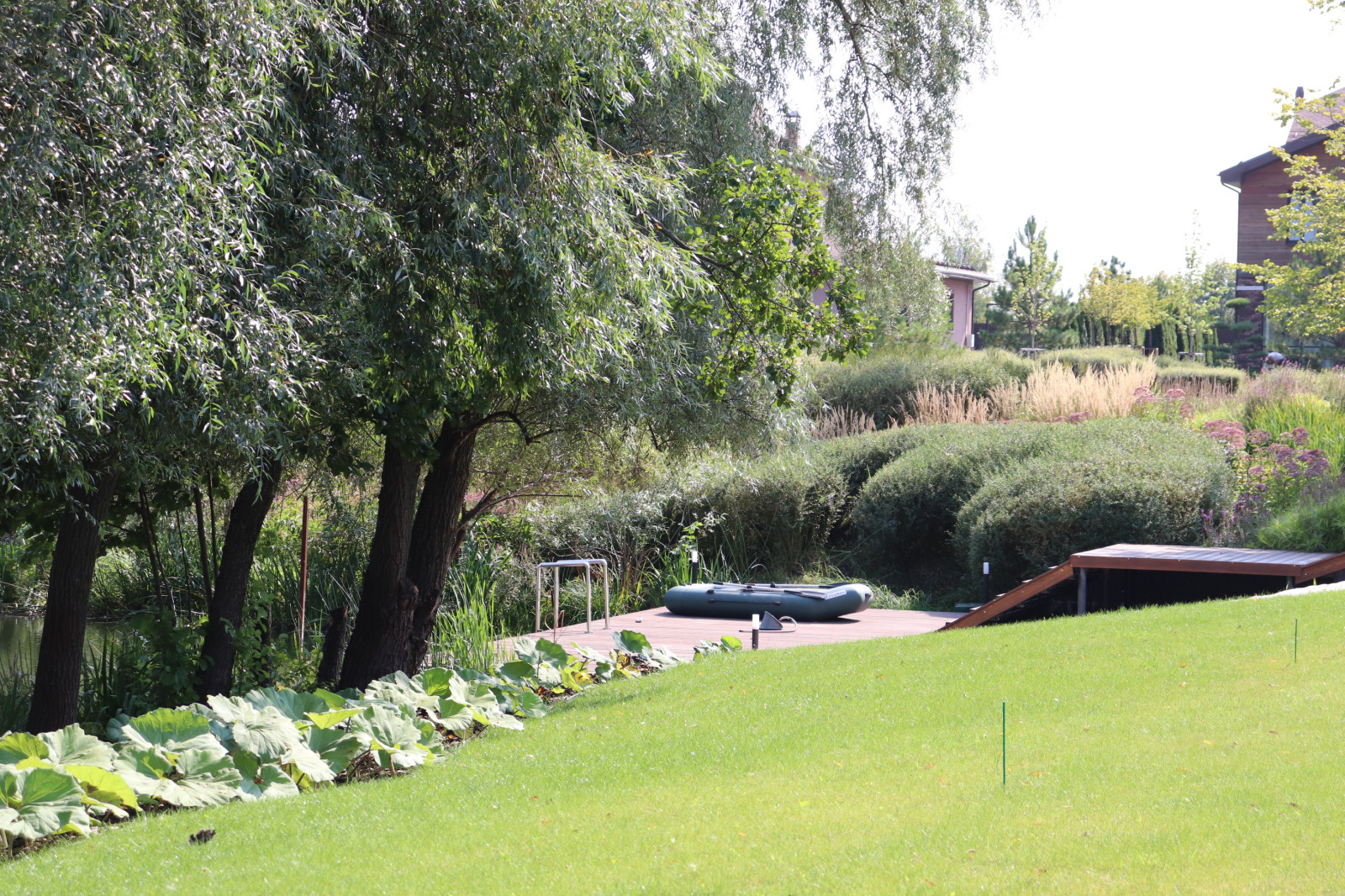 WB Берег пруда (август)