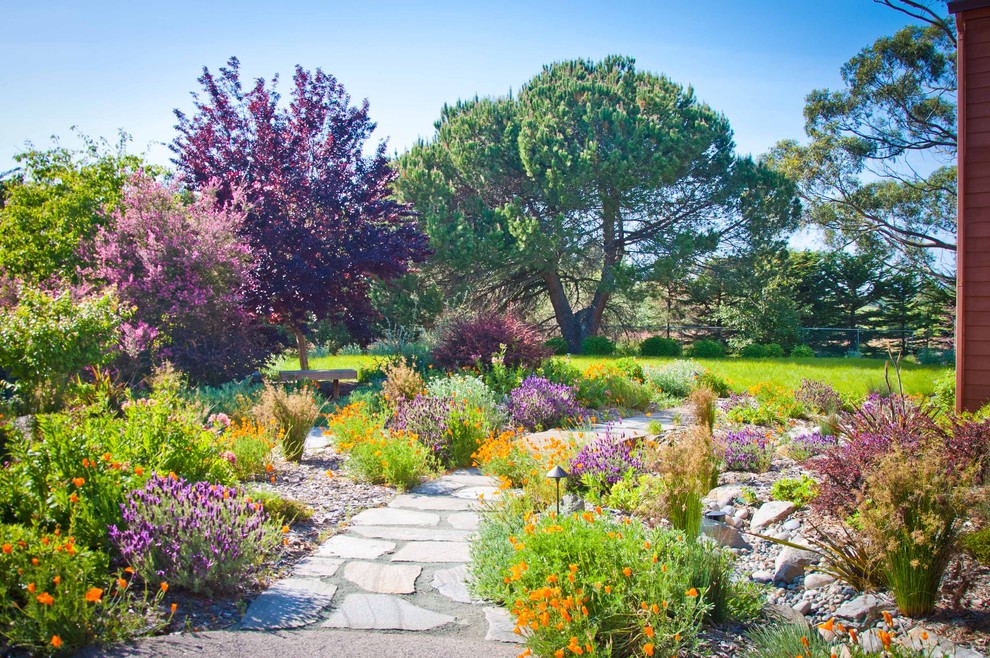 Inspiration for a mediterranean garden in San Luis Obispo.