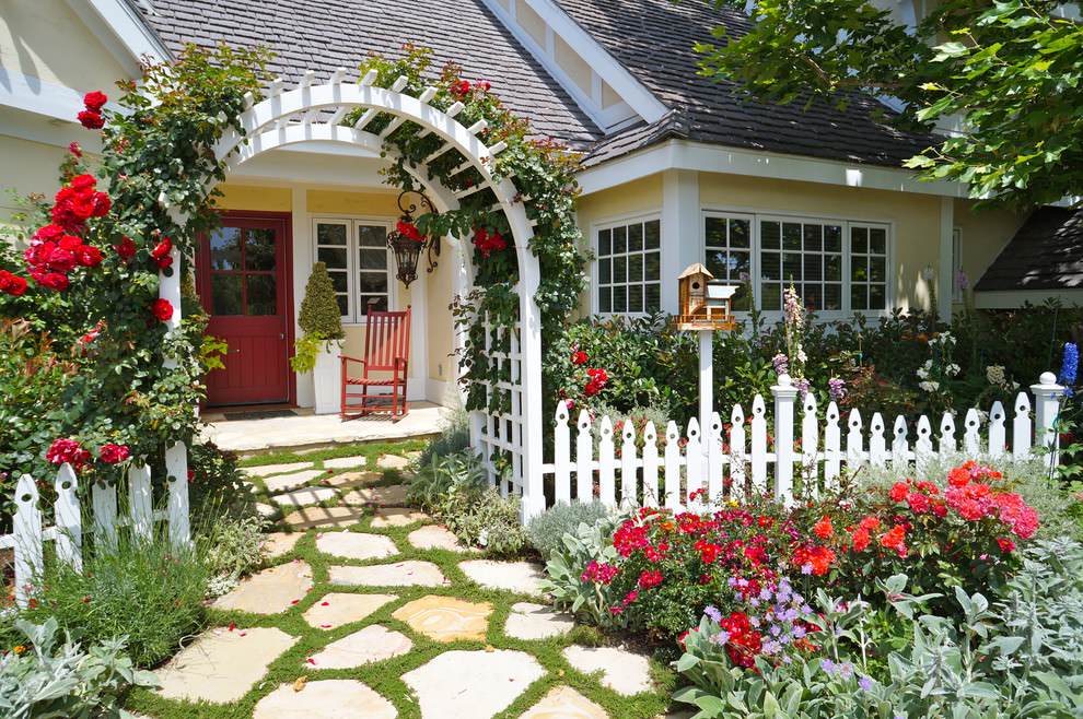 Red Blazer Roses on Nantucket Picket Fence with Knockout Roses, Lambs Ear, Delphinium and creeping thyme between irregular shaped flagstone pavers.