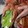 rashmi_singh9076
