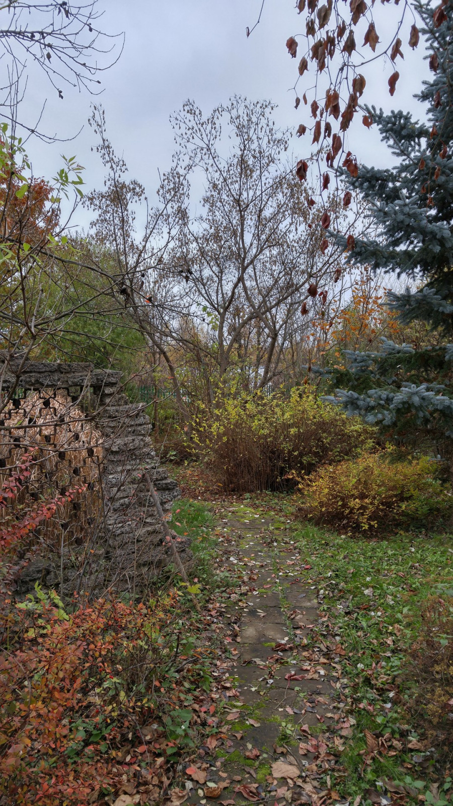 Тропинка в прошлое