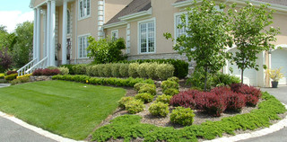 Front Yard Landscape