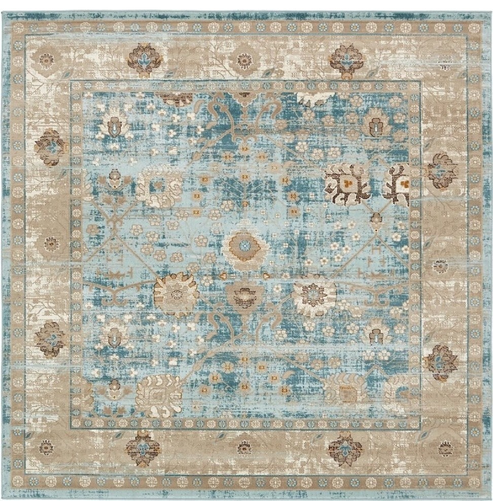 Traditional Newcastle Area Rug, 6' Square Contemporary Area Rugs