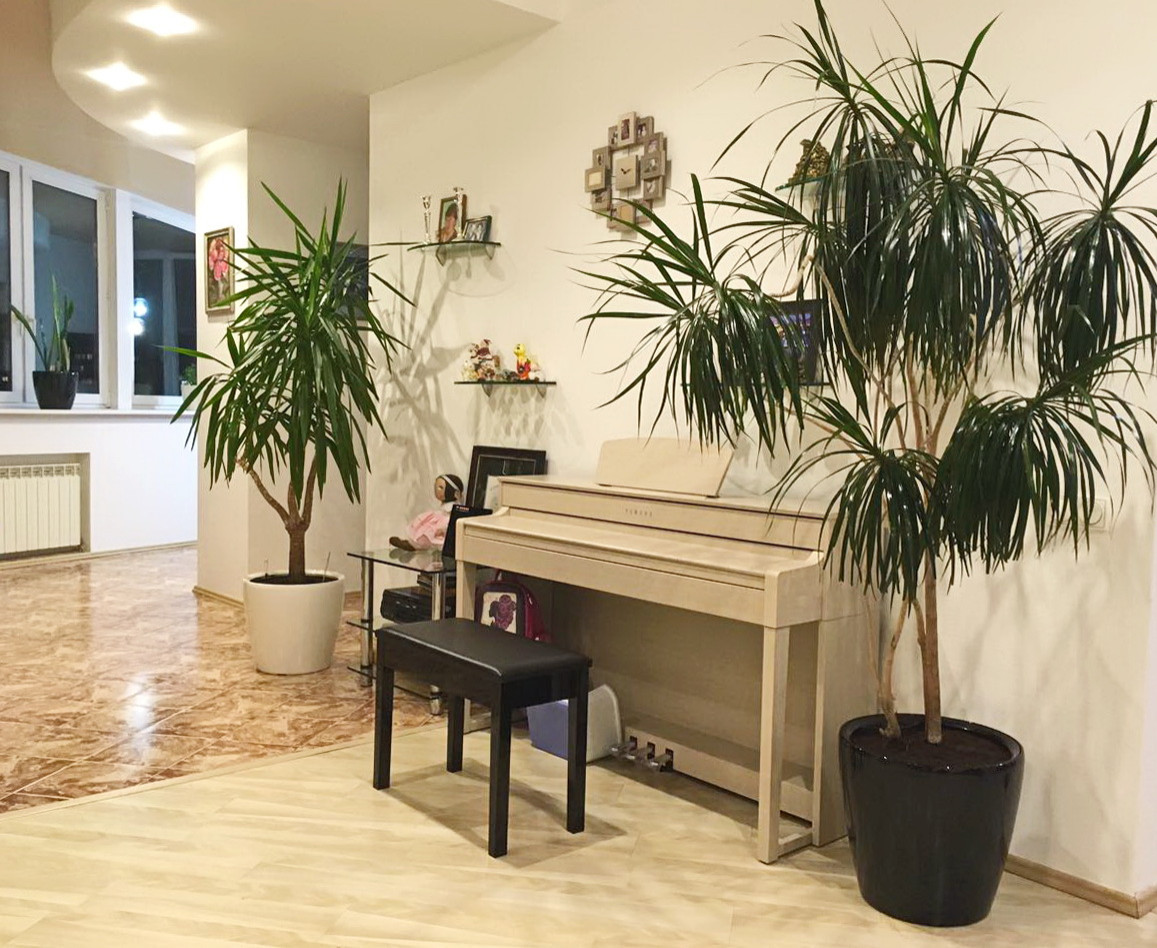 Озеленение частных квартир