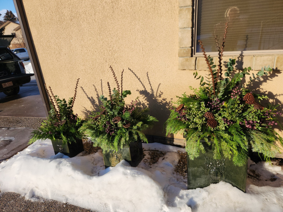Winter Planters 2023 Landscape Calgary by SPECIALTY GARDENS Houzz