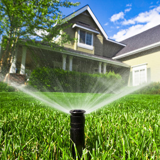 IRRIGATION SERVICES LLC - Project Photos & Reviews - Saint Louis