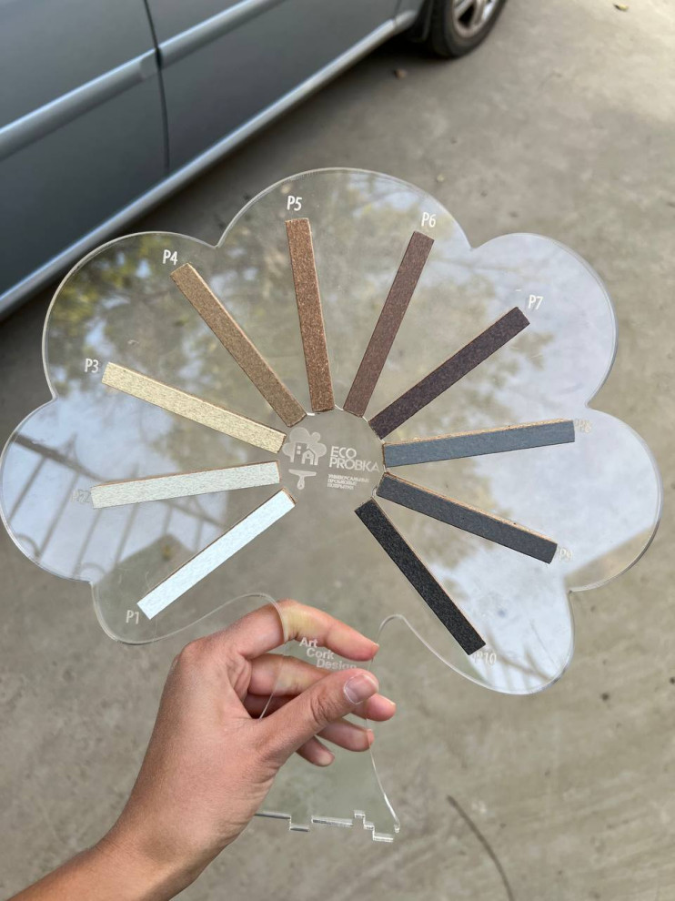 Компенсатор