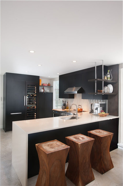 Modern Condo Kitchen modern-kitchen