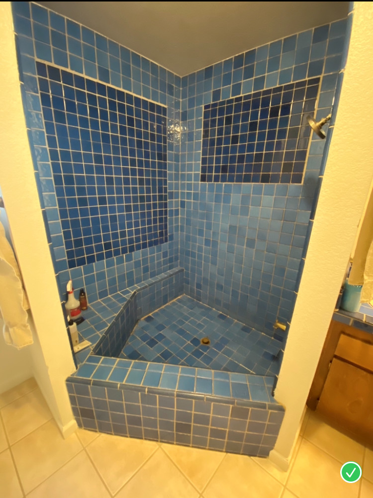 BEFORE - Master Bath. What is this? A tub/Shower Combo?