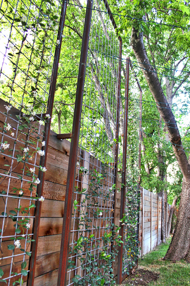 Photo of a small modern backyard garden for summer in Austin with a vertical garden.