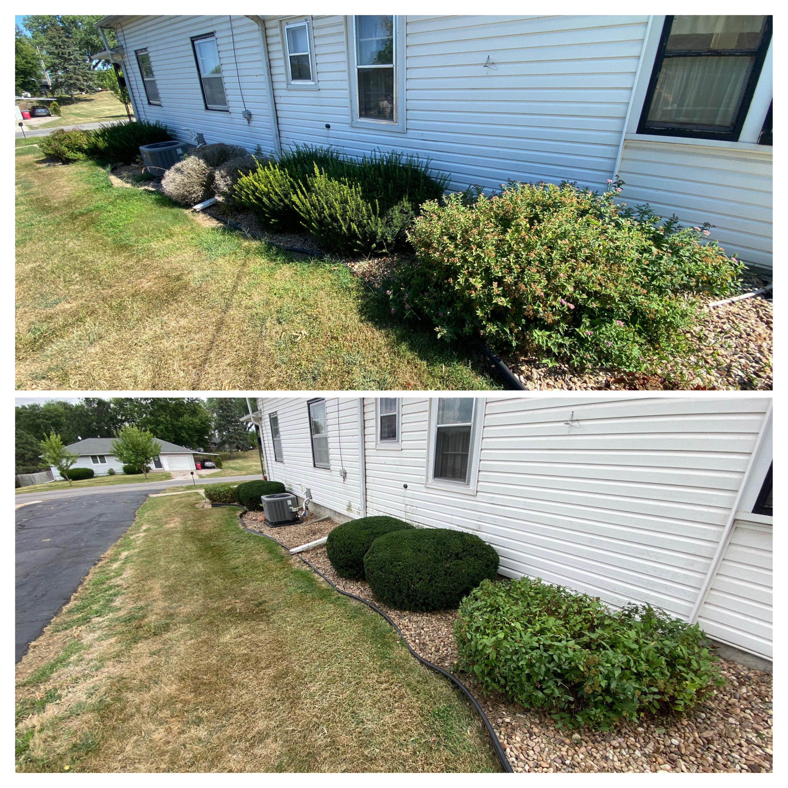 Mowing & Cleanup 2