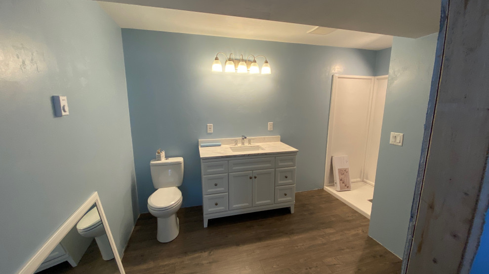 Greenville Full Basement Remodel