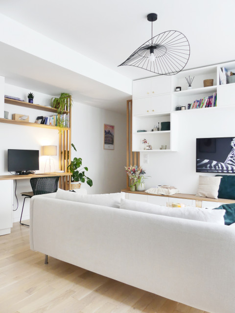 Optimiser un appartement sur plan transitional-living-room