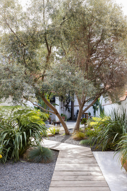 ZZ garden