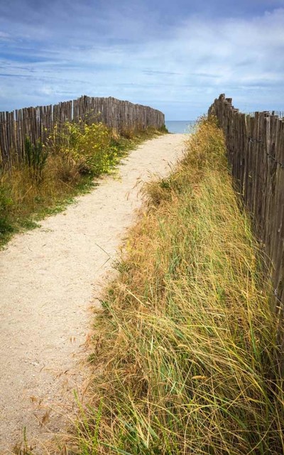 "Pathway to the Ocean" Garden Wall Hanging, 122x200 cm