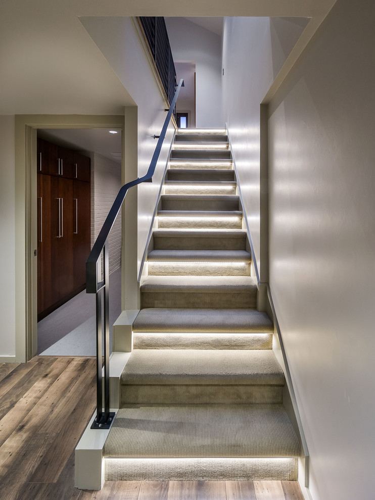 This is an example of a large modern carpeted straight staircase in Other with carpet risers.
