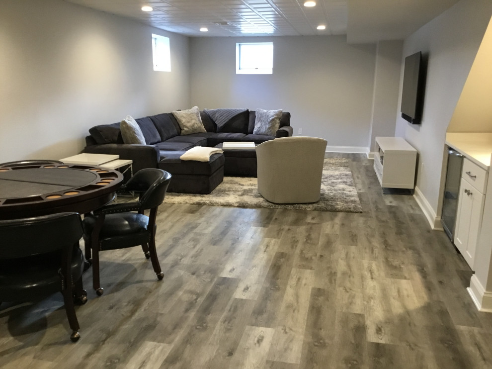 Modern Basement Renovation