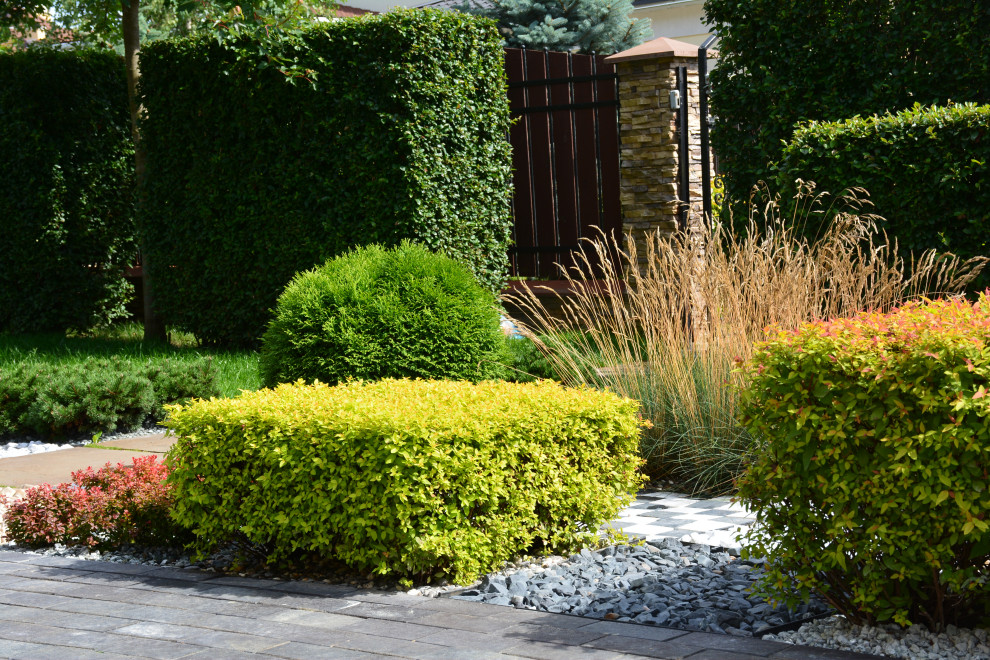 Ловушка для глаз