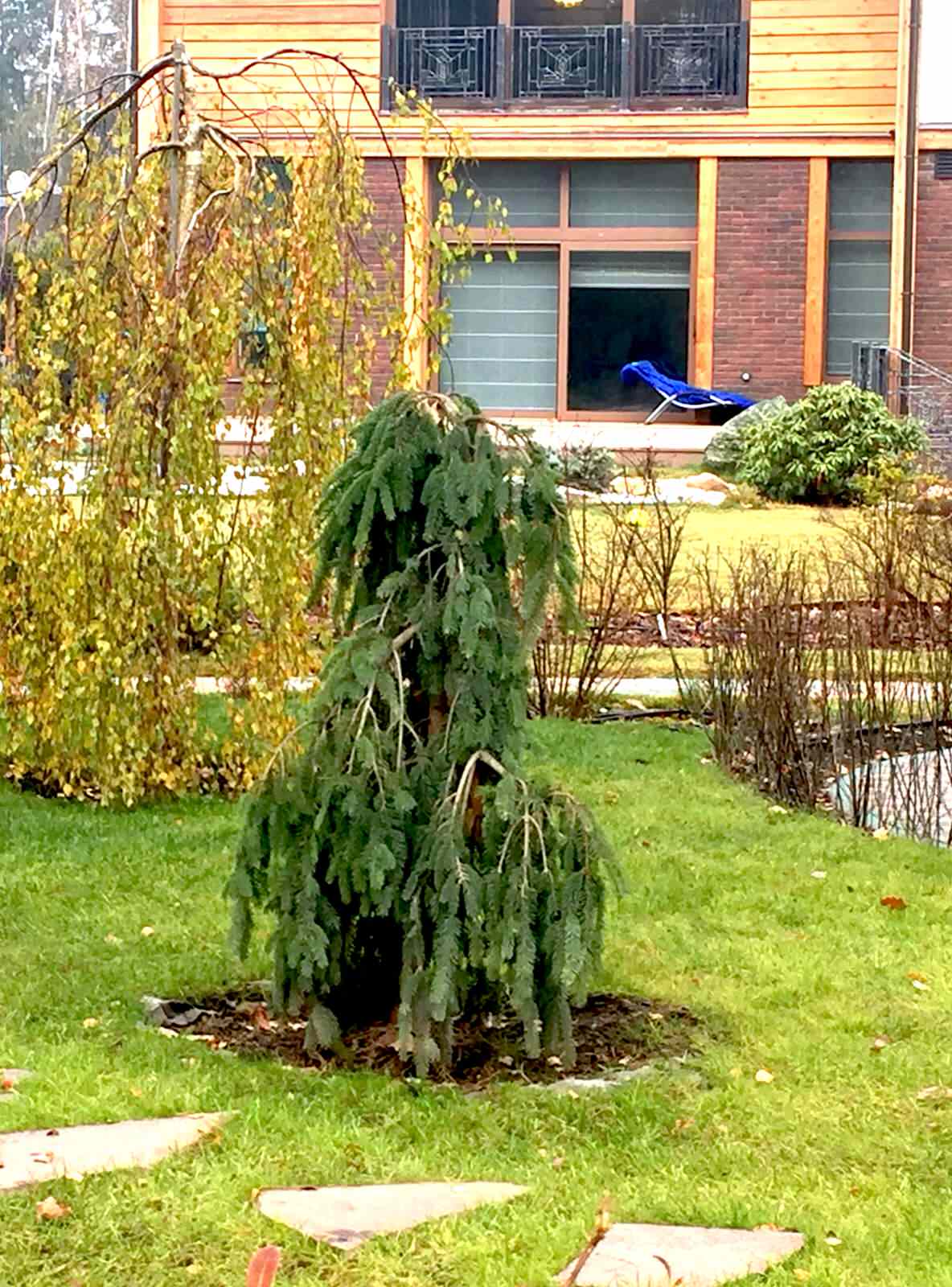 Графские пруды КП