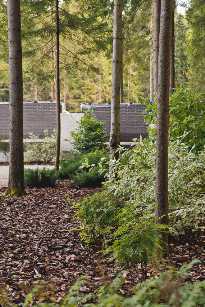 Сад на краю леса