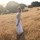 katy_catron