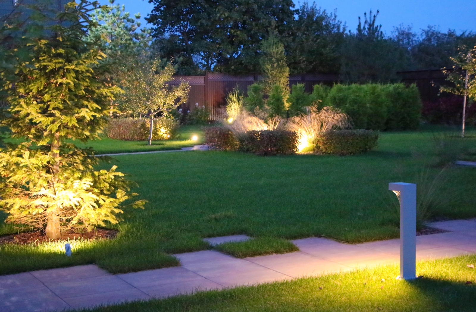 Петровское, ночной сад, 2018-2020 гг.