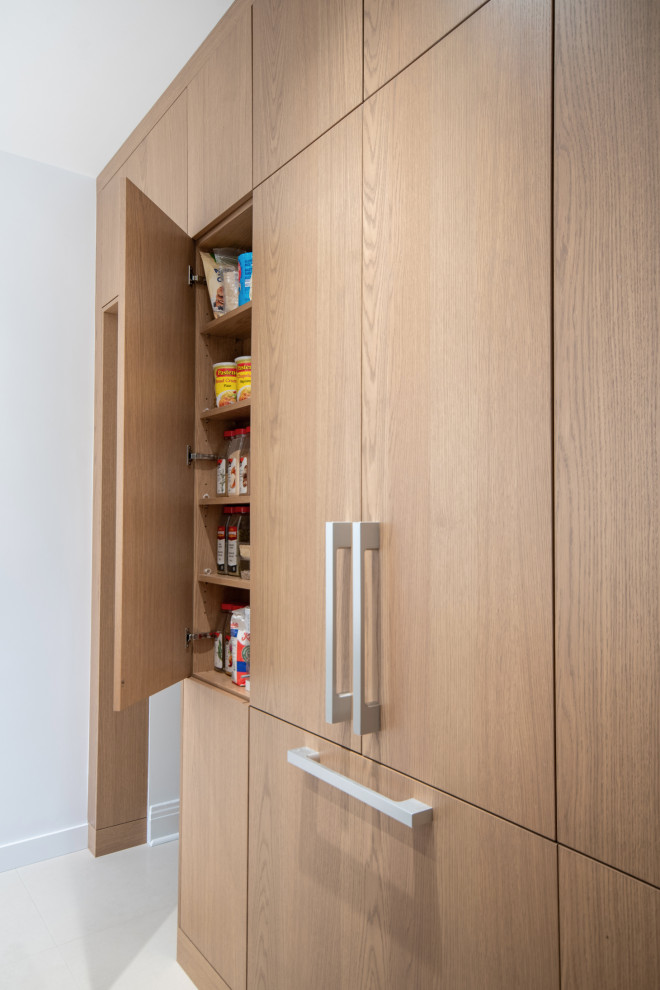 Modern Minimalist Kitchen Montreal