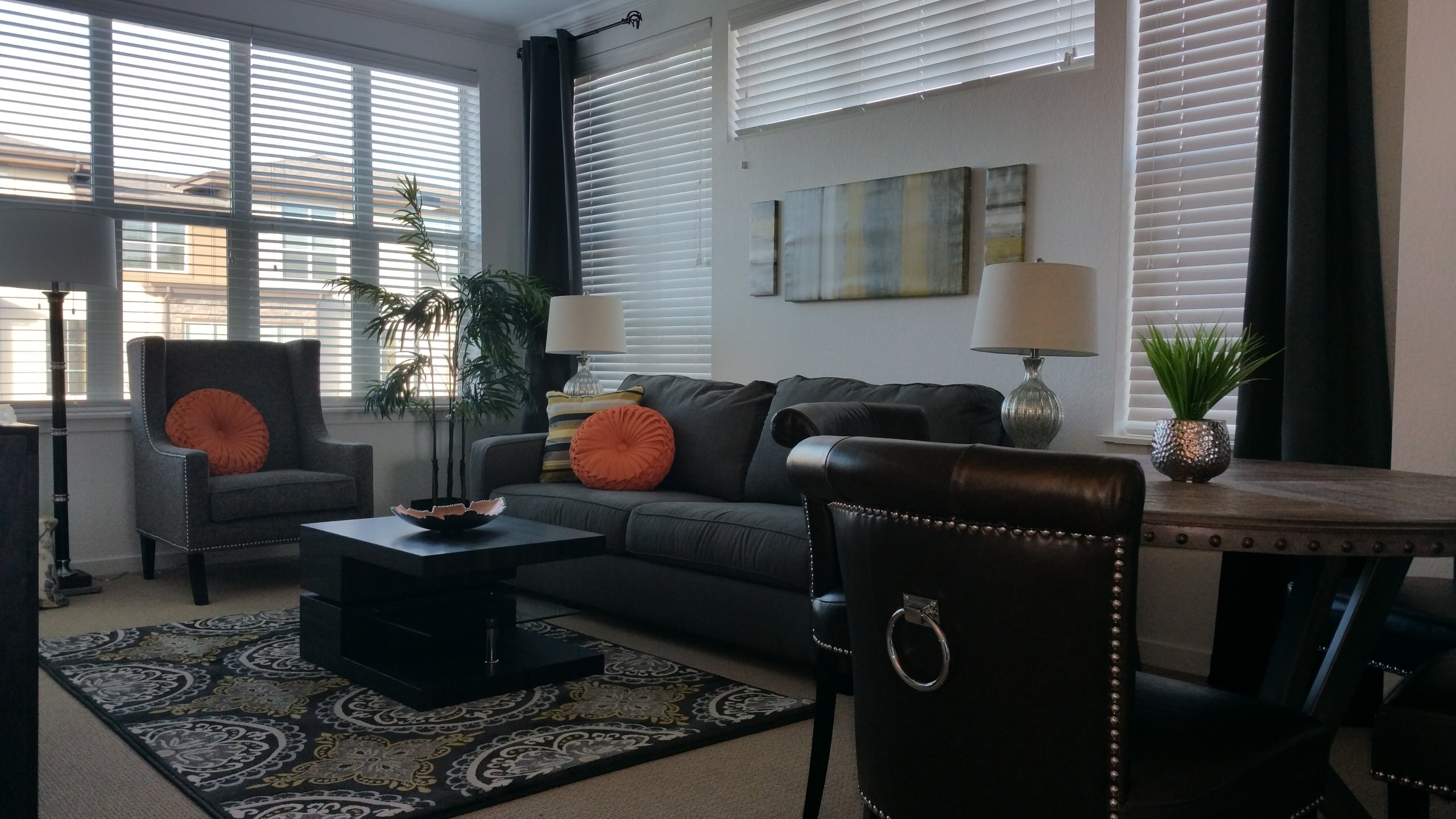 Colorado Condo