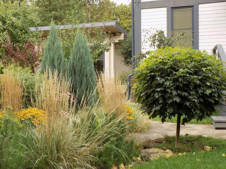 Озеленение, ландшафтный дизайн