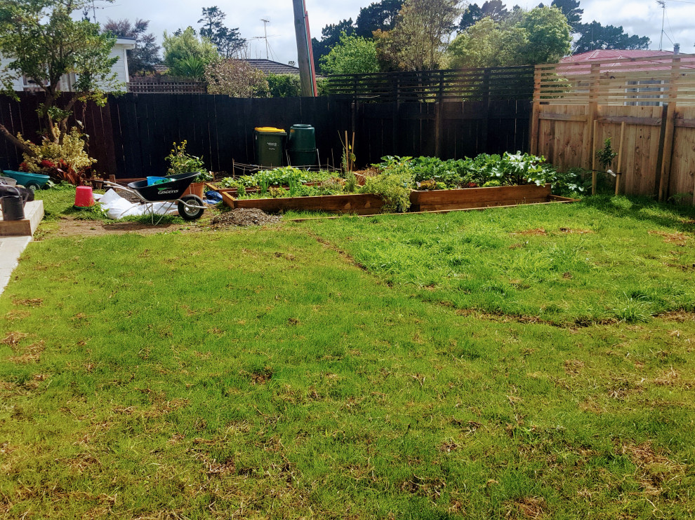 Should You Paint Your Fence Black?