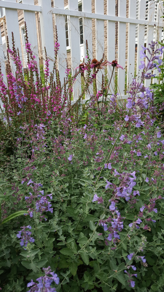 Английский садик