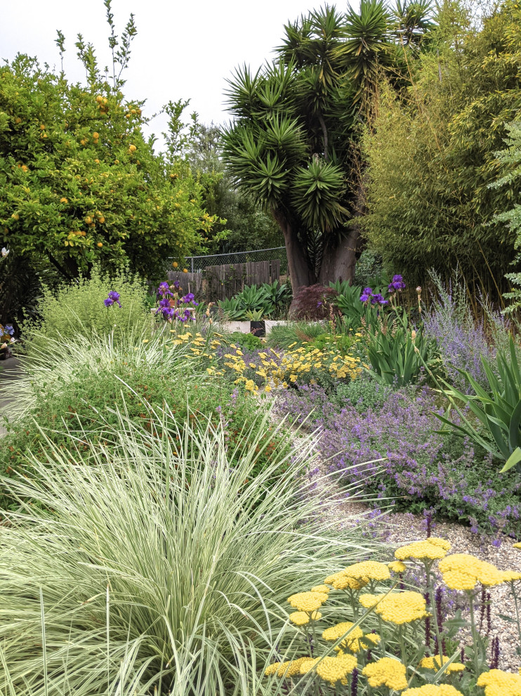 Стильный дизайн: маленький засухоустойчивый сад на заднем дворе в средиземноморском стиле для на участке и в саду - последний тренд